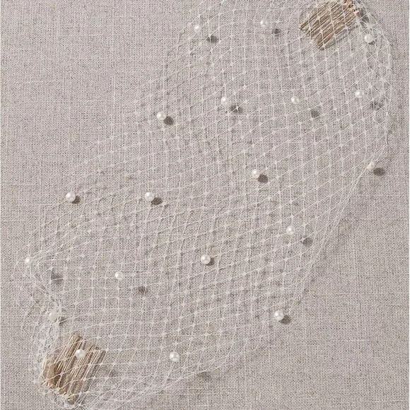 BHLDN Pearl-Embellished Ivory Birdcage Veil - Picture 3 of 5